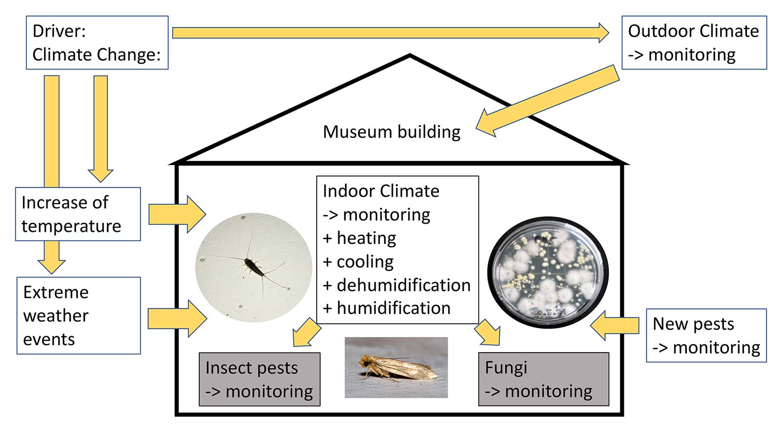 Museum Climate (© Dr. Pascal Querner) | International Museum Conference on Climate Change, 9-11 April, 2025, Vienna